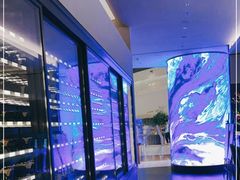 -柿合缘新京菜(国金中心商场店)