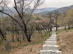 -香山公园