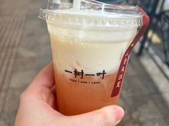 -一树一叶·福建茶档(石鼓路店)