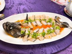 WT清蒸小龙趸-惠食佳·朱雀(东方商厦店)