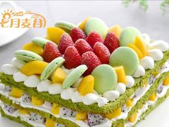 -维尔纳斯·生日蛋糕·动物奶油冰淇淋蛋糕(六里桥店)