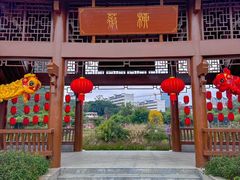 -广西壮族自治区药用植物园