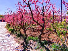 -北京金海湖景区