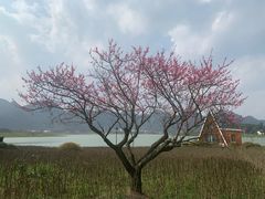 -云漫湖生态度假公园