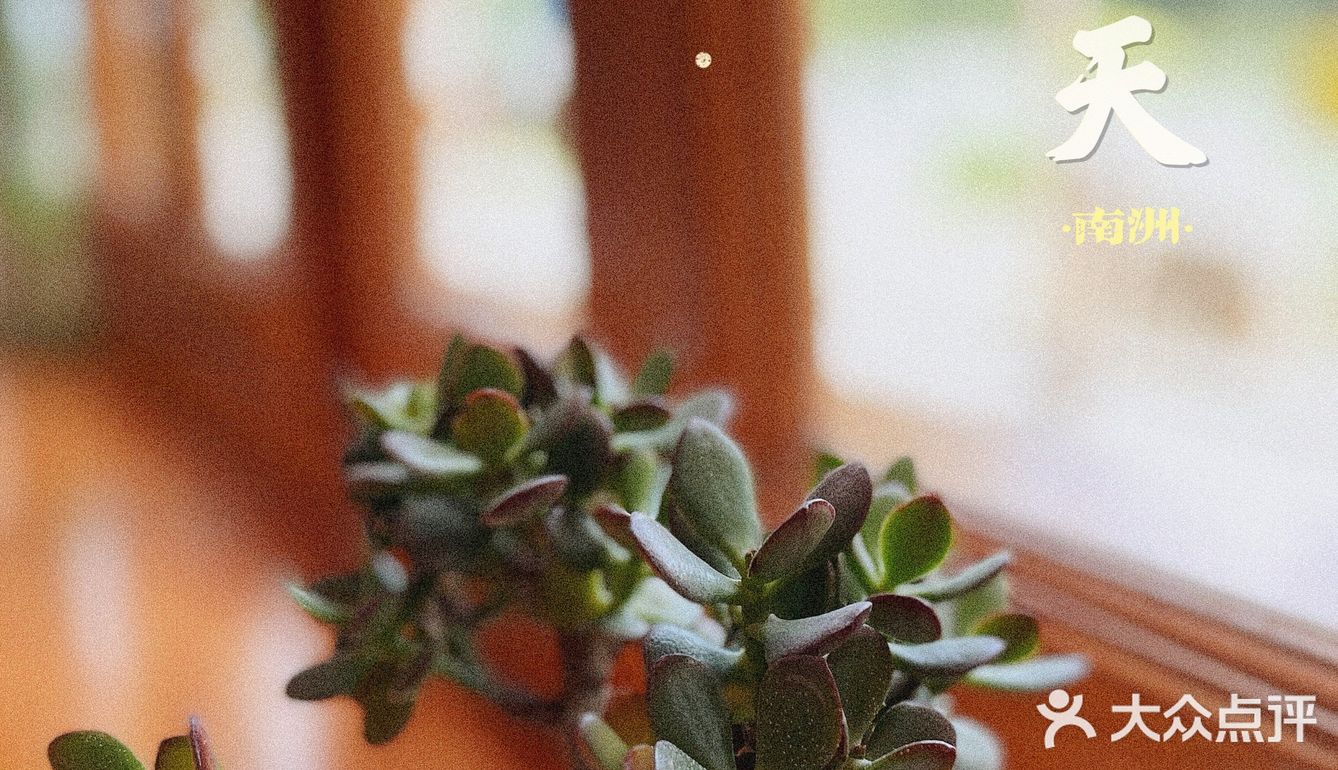 海珠｜森系治愈咖啡馆·南洲的慵懒情调🍃