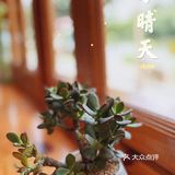 海珠｜森系治愈咖啡馆·南洲的慵懒情调🍃