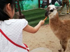 -西安秦岭野生动物园