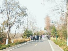 -西溪国家湿地公园