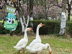 -宁波九龙湖开元度假村