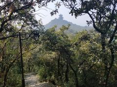 -杭州半山国家森林公园