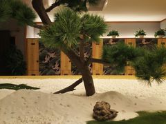 -汤泉良子(金源店)