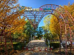 -长白岛森林公园