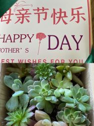 -奕新一诺台式母婴护理中心(我格广场店)