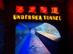 -太平洋海底世界