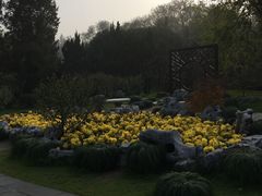 -水西门南京桂花盐水鸭