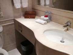 -上海南新雅大酒店