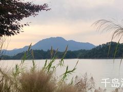 -好灶头妈妈菜·千岛湖土菜地标美食