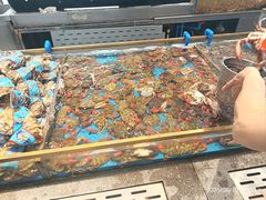 -半岛听涛蒸汽海鲜自助(K11店)