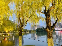 -天鹅湖体育公园