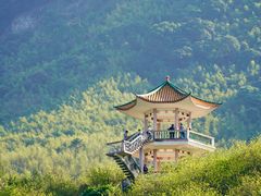 -广州市流溪河国家森林公园