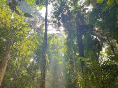 -中国科学院西双版纳热带植物园