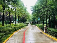 -西安汉城湖景区