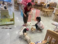 -柴犬小屋·柴餐厅·狗咖食堂(金鼎广场店)