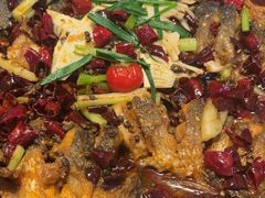 -老板恋上鱼(恒隆广场店)