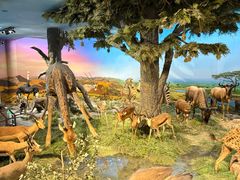 -国家自然博物馆