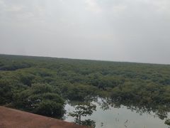 -北海金海湾红树林生态旅游区