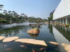 -罗红摄影艺术馆