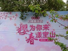 -顾村公园