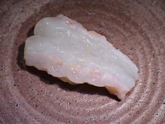 -镹·鱼料理  国产鱼使用店