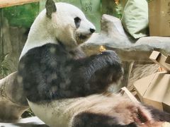 -灵玲国际马戏城