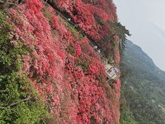-木兰云雾山