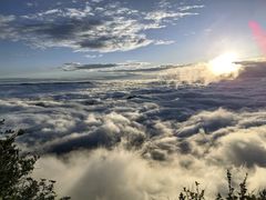 -秦岭天竺山景区
