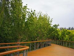-东郊湿地公园