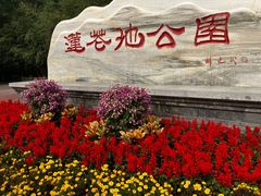 -莲花池公园