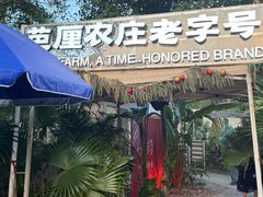 -芭厘·农庄老字号.电饭煲五指毛桃焗鸡