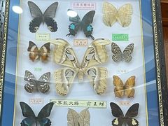 -诺敏塔拉奶茶-布里亚特包子-手把肉(锦都会店)