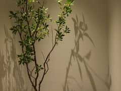 -古莲·影院足道·按摩SPA(水上温泉店)