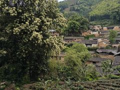 -杨家堂村