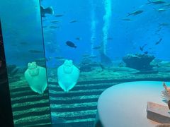 -亚特兰蒂斯•OSSIANO奥西亚诺海底餐厅
