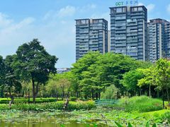 -顺峰山公园