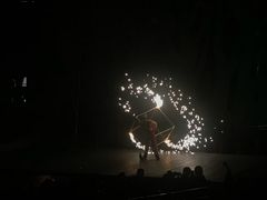 -灵玲国际马戏城