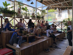 店内-Rainforest