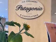 -Patagonia Chocolates(皇后镇店)