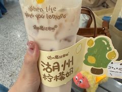 -猫的魔法密林(衣裳街店)