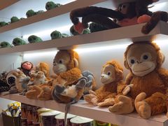 -ventus spa 沙巴亚庇正宗精油按摩会所