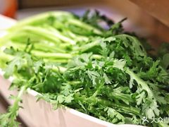 -海底捞火锅(海宁路店)